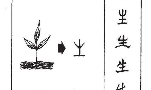 金牛糖多少钱一盒-河北金牛泻白糖浆价格网 | 金牛糖多少钱一盒,金牛糖有壮阳的功效吗