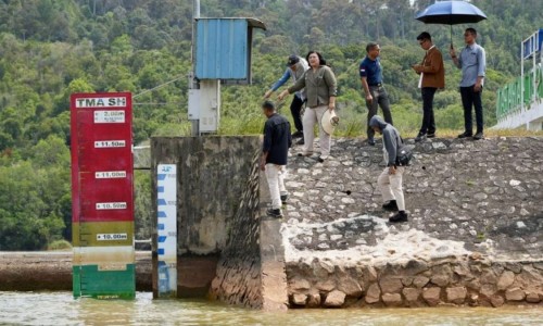 金牛糖多少钱一盒-河北金牛泻白糖浆价格网 | 金牛糖多少钱一盒,金牛糖有壮阳的功效吗